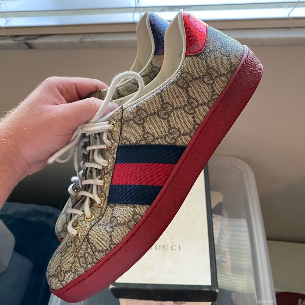 Gucci ace all over print